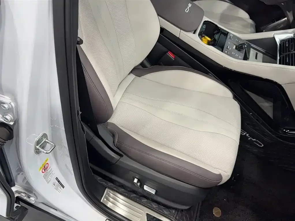 BYD PLUS New Energy 2024 из CN, фото 3