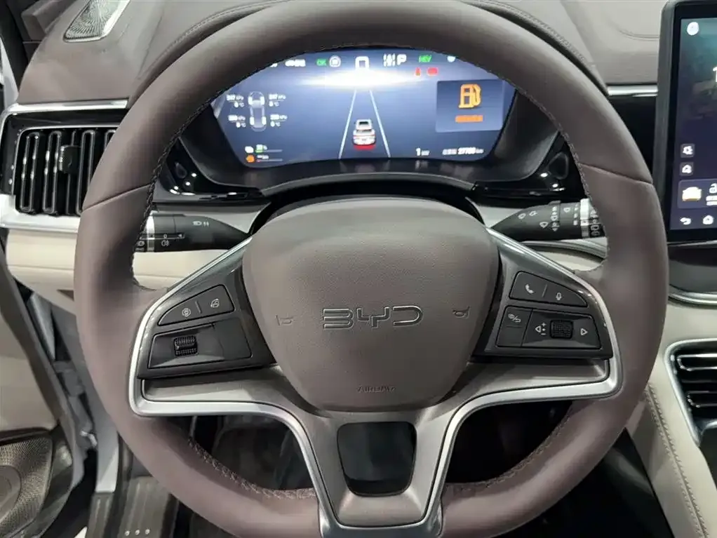 BYD PLUS New Energy 2024 из CN, фото 4