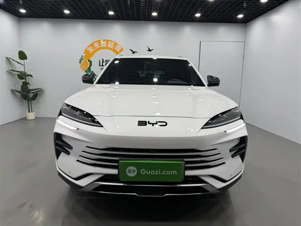 BYD PLUS New Energy 2024 из CN, фото 7