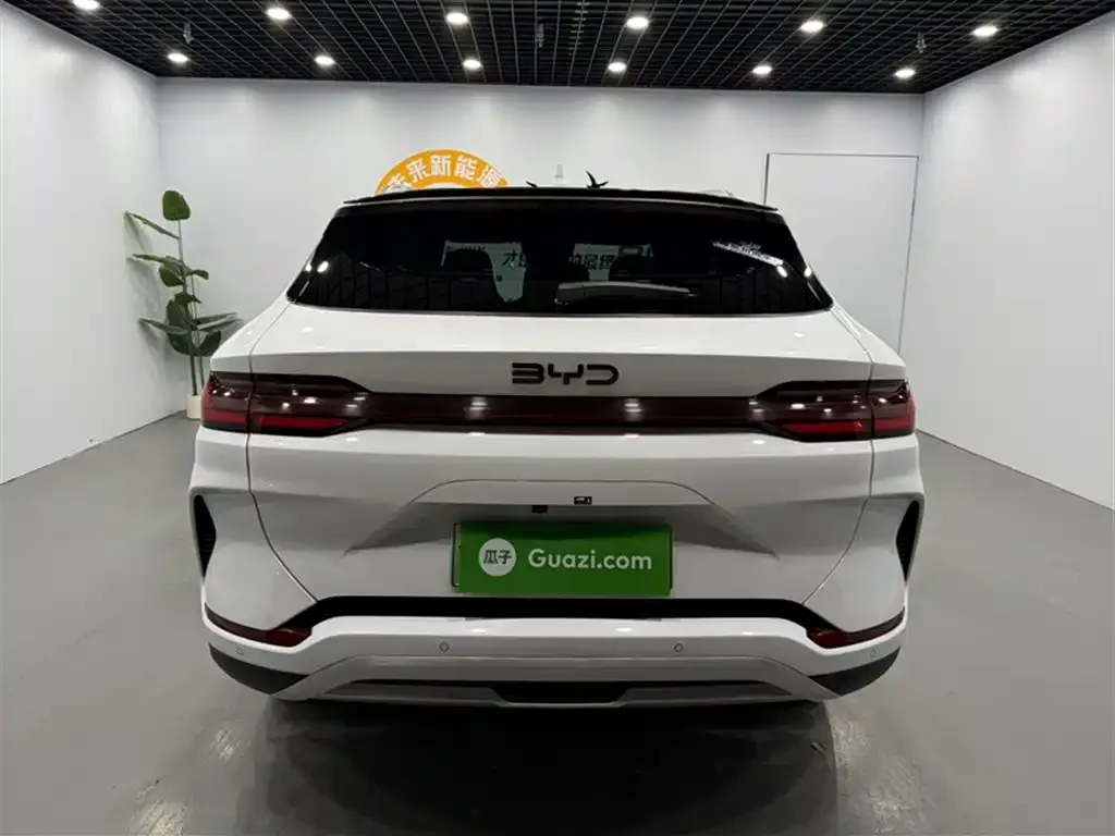 BYD PLUS New Energy 2024 из CN, фото 8