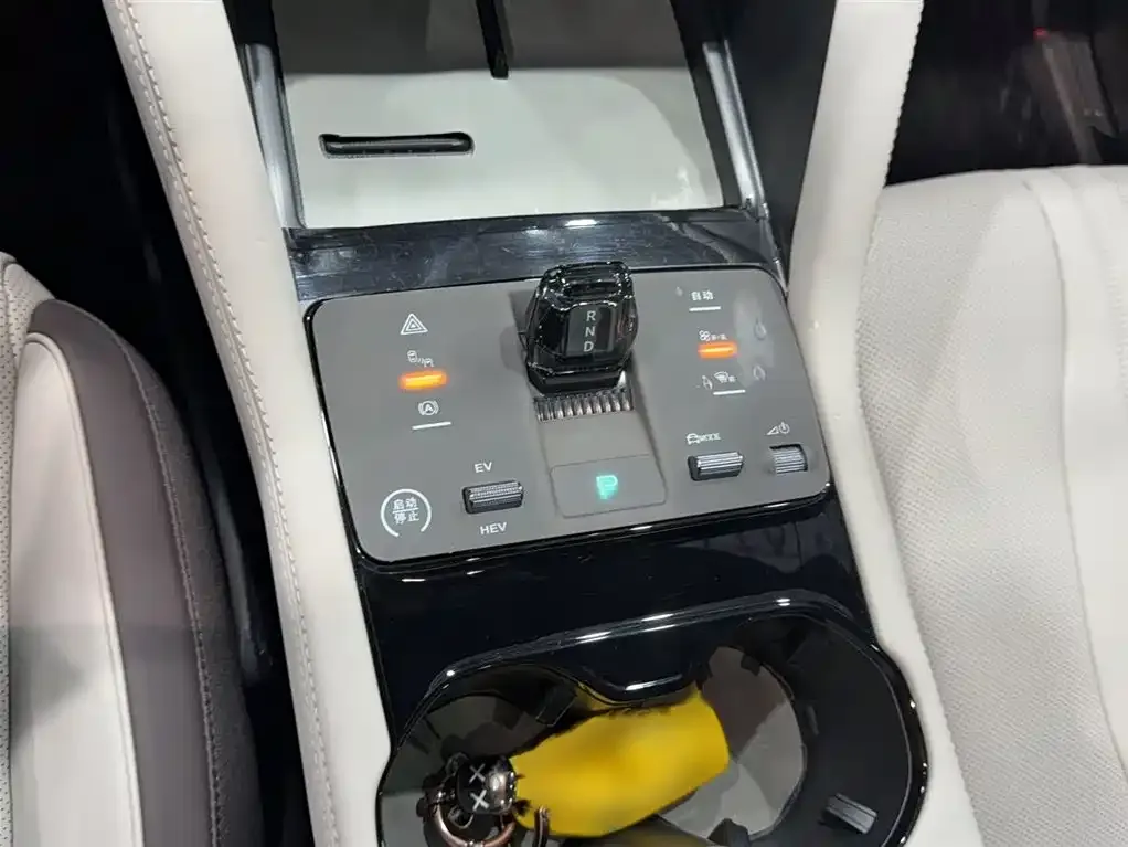 BYD PLUS New Energy 2024 из CN, фото 9