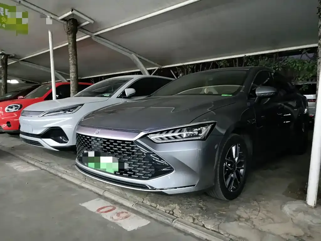 BYD Qin PLUS 2024 из CN, фото 1