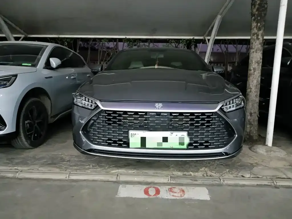 BYD Qin PLUS 2024 из CN, фото 2