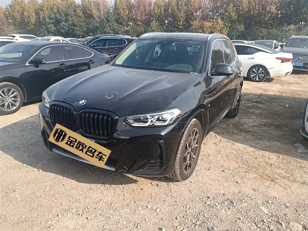 BMW X3 2023 из CN, фото 2