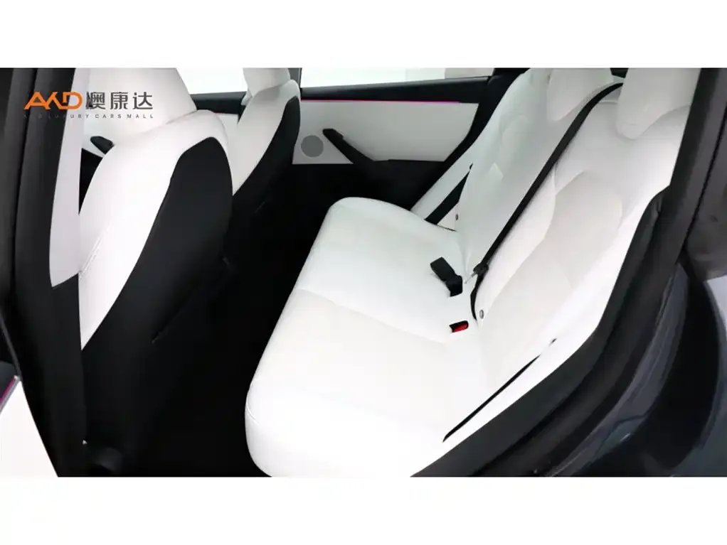 Tesla Model 3 2024 из CN, фото 7