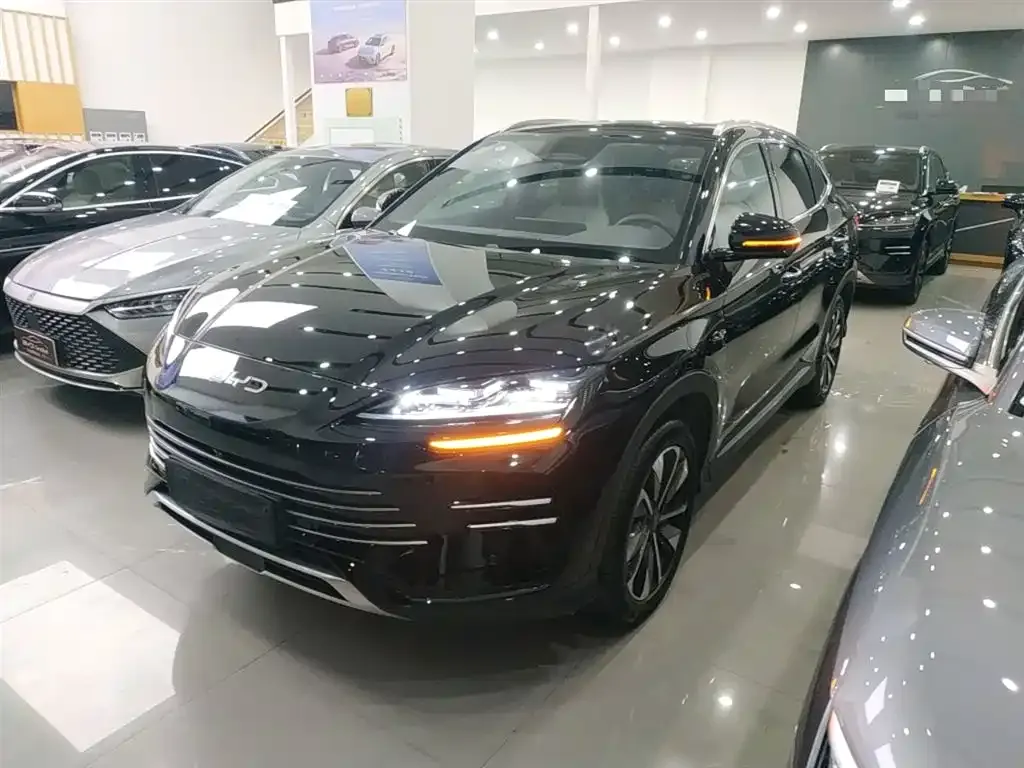 BYD PLUS New Energy 2025 из CN, фото 1