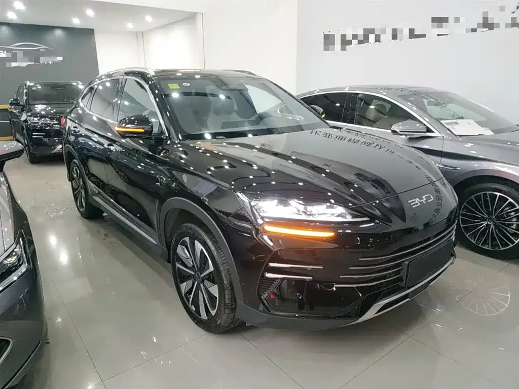 BYD PLUS New Energy 2025 из CN, фото 4
