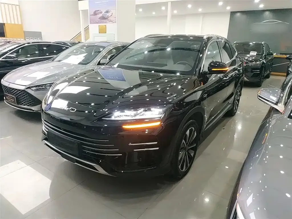 BYD PLUS New Energy 2025 из CN, фото 5