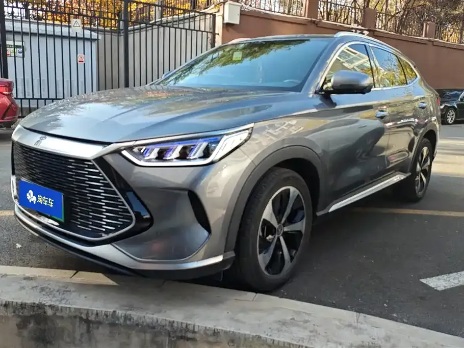 BYD PLUS New Energy 2022 из CN, фото 1