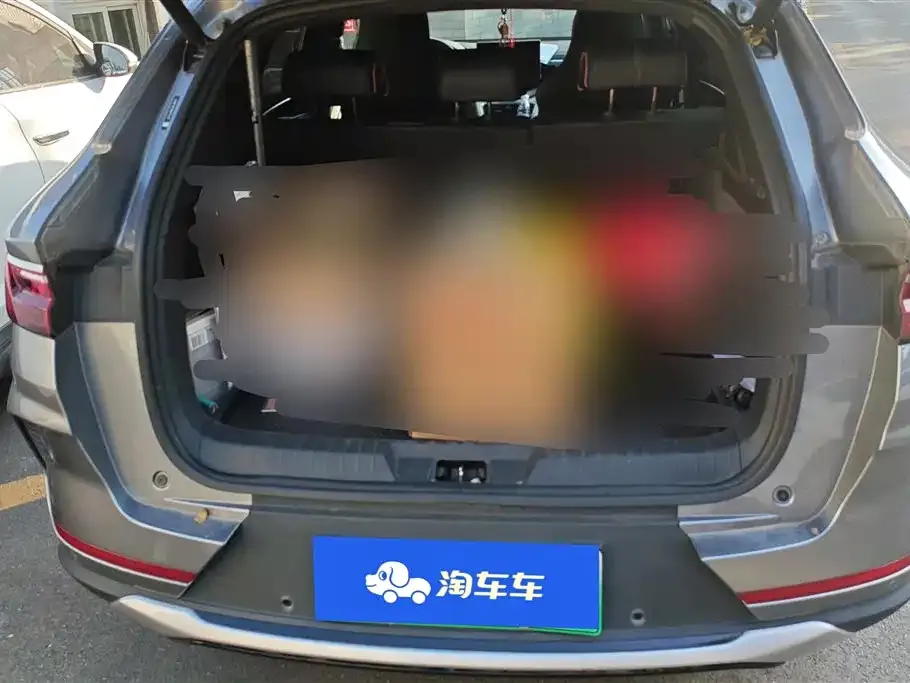 BYD PLUS New Energy 2022 из CN, фото 4