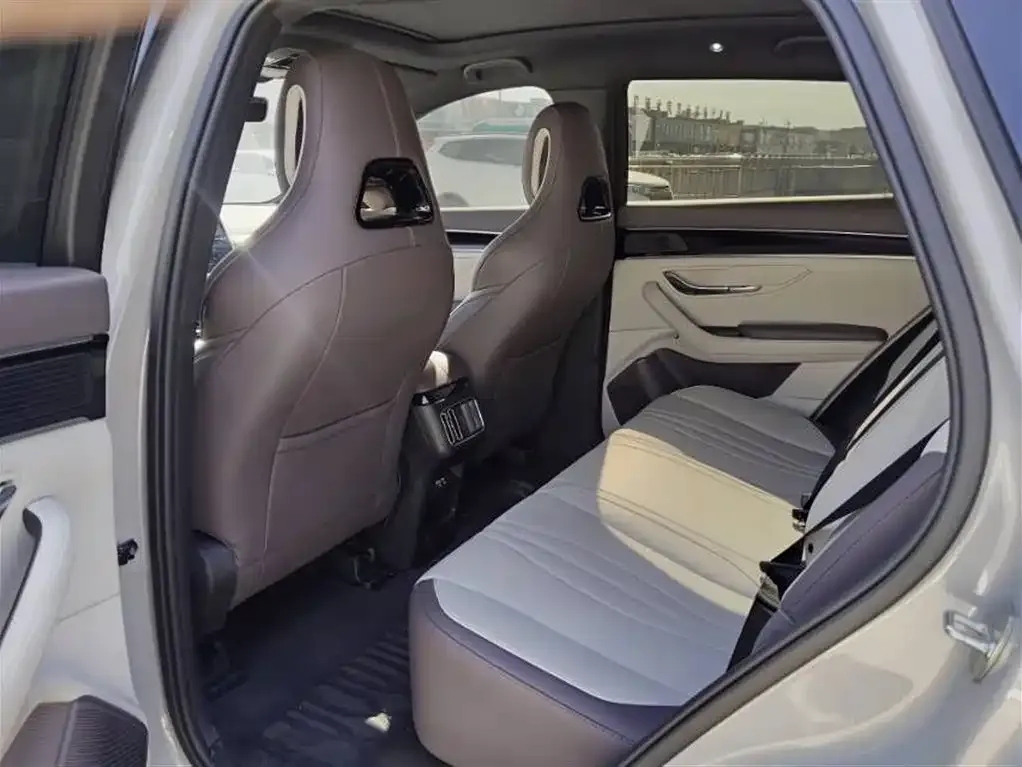 BYD PLUS New Energy 2025 из CN, фото 7