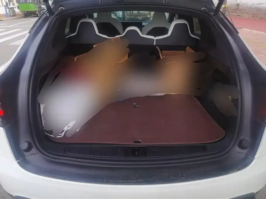 Tesla Model X 2023 из CN, фото 4