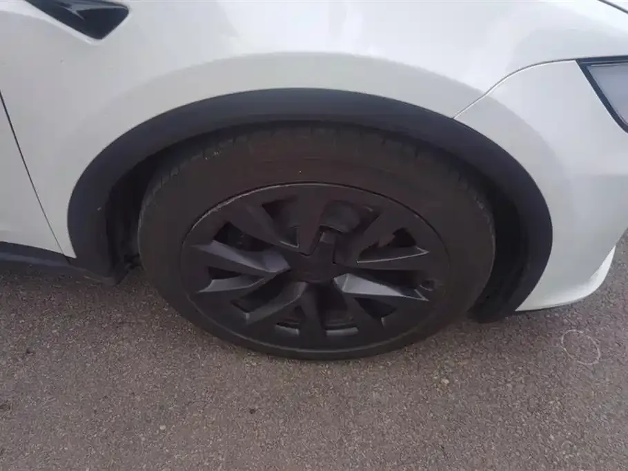 Tesla Model X 2023 из CN, фото 6