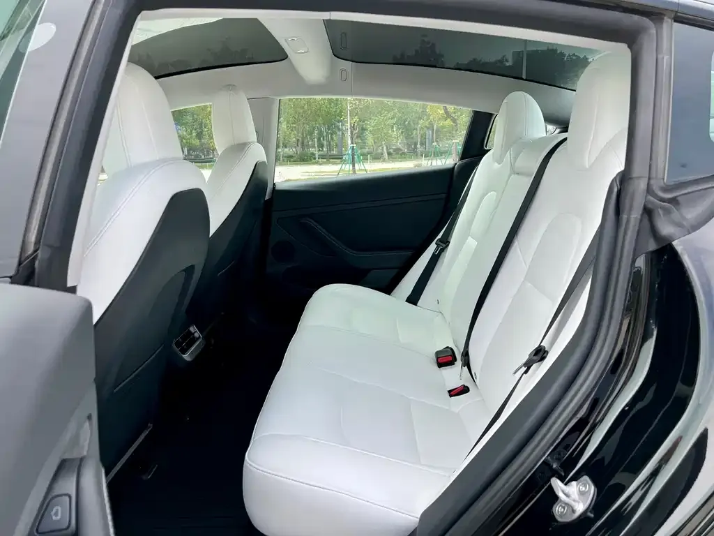 Tesla Model 3 2023 из CN, фото 10