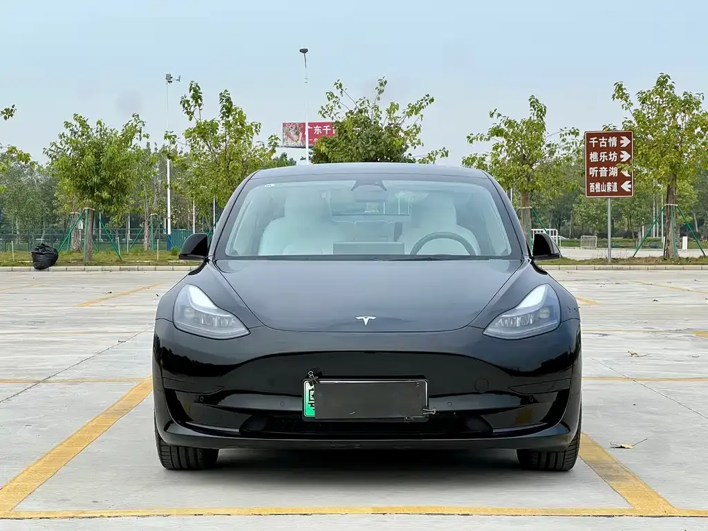 Tesla Model 3 2023 из CN, фото 2