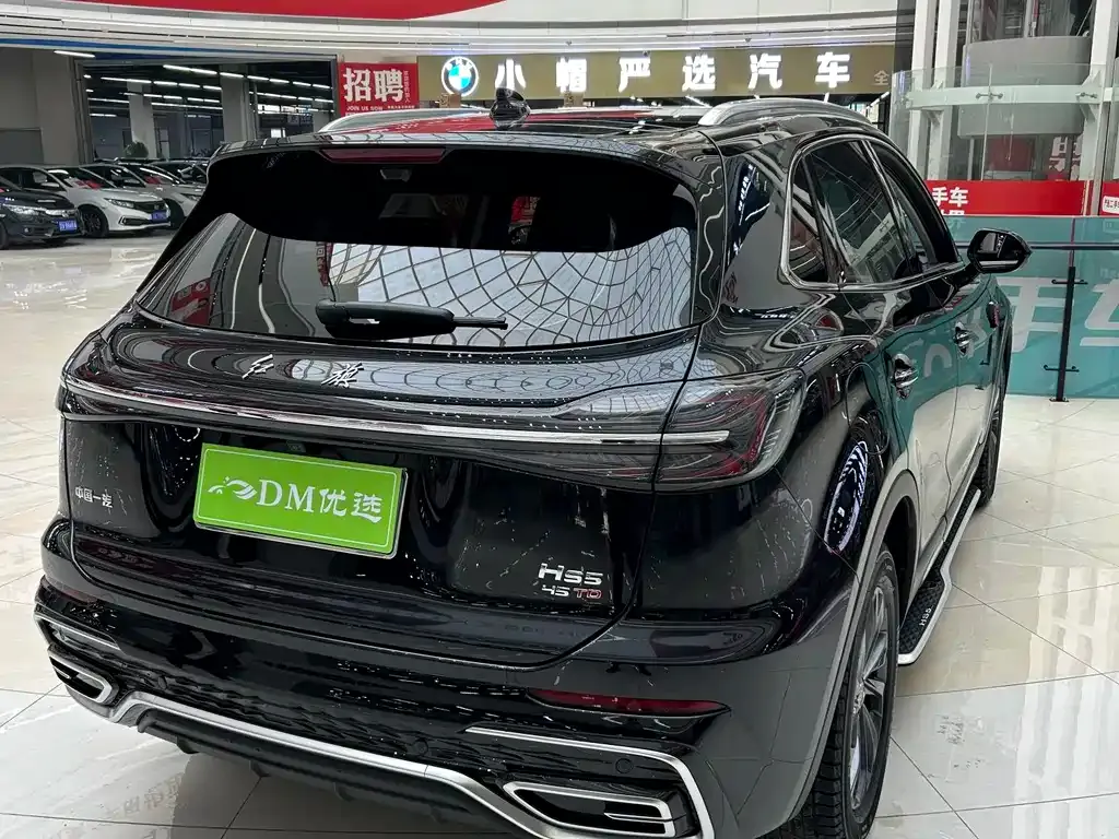 Hongqi HS5 2025 из CN, фото 9