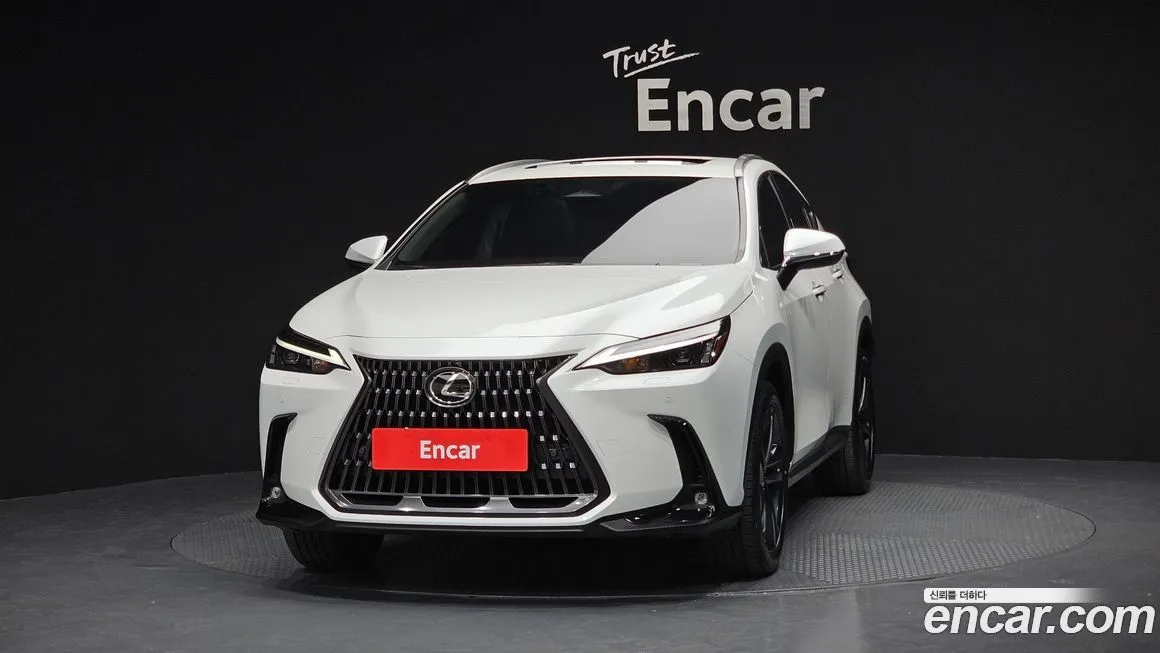 Lexus NX 2024 из KR, фото 3