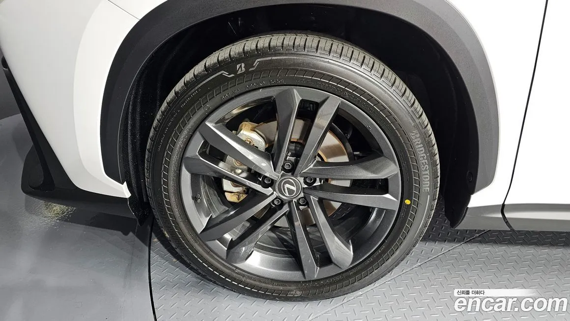 Lexus NX 2024 из KR, фото 5
