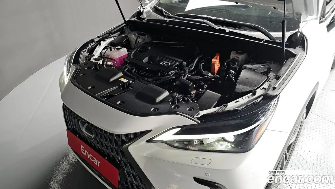 Lexus NX 2024 из KR, фото 6