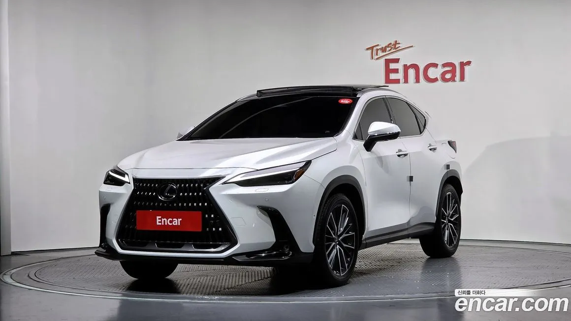 Lexus NX 2025 из KR, фото 1