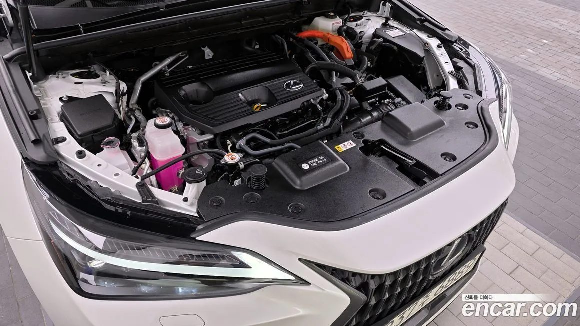 Lexus NX 2025 из KR, фото 6