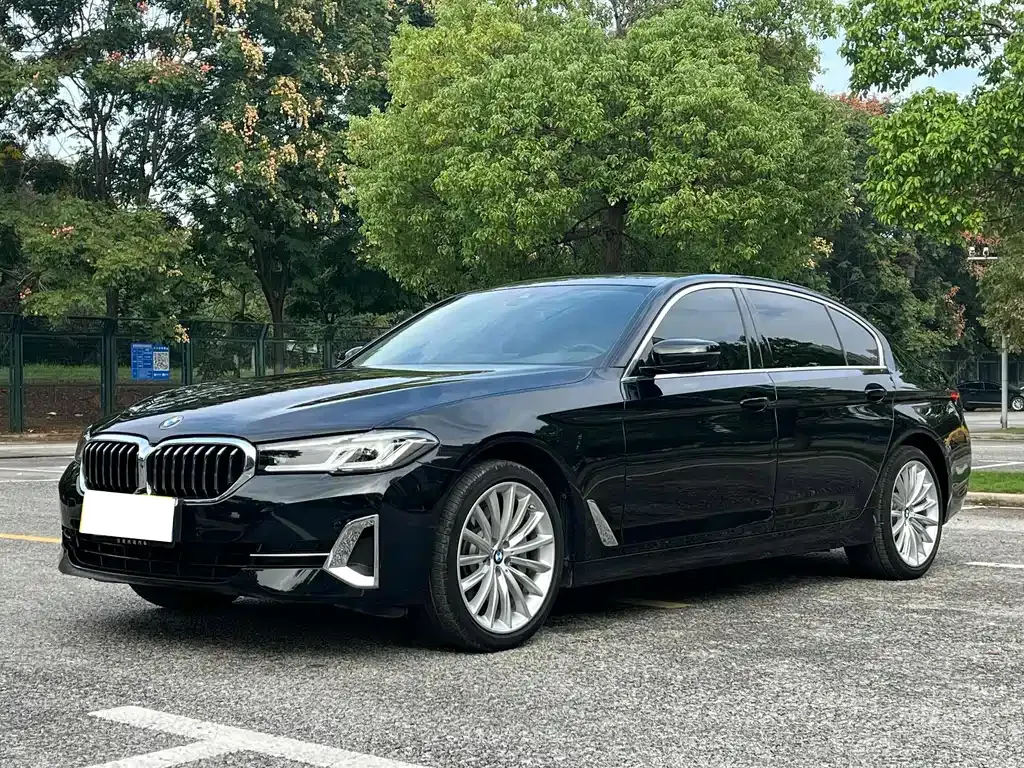 BMW 5 Series 2022 из CN, фото 1