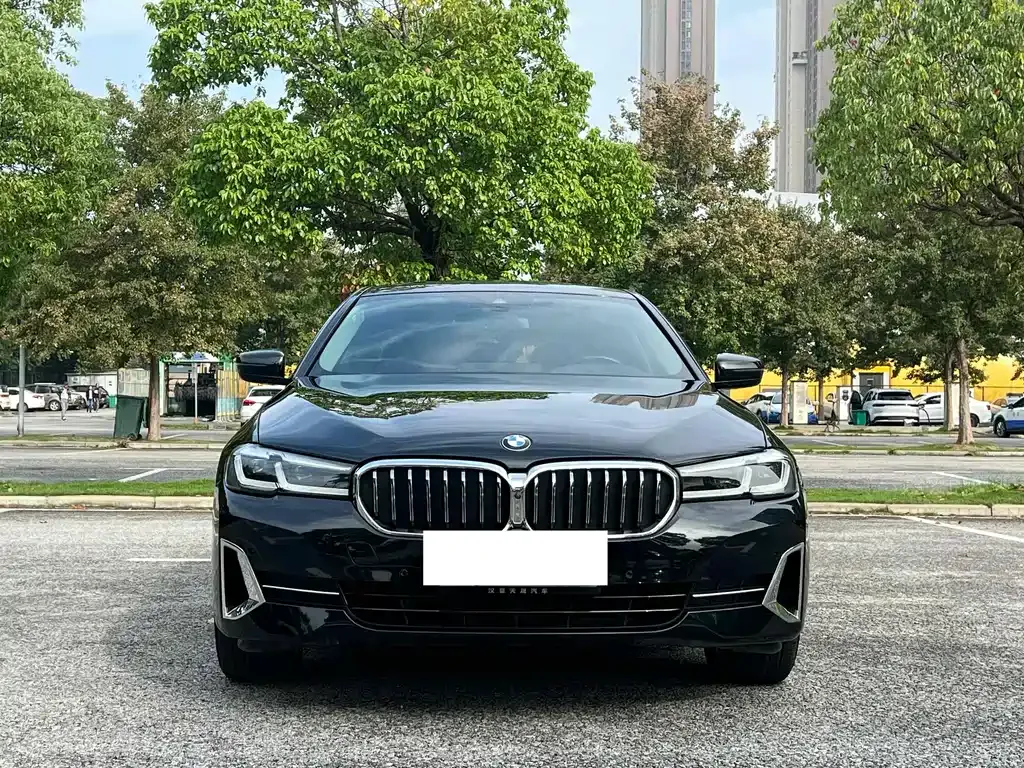 BMW 5 Series 2022 из CN, фото 2