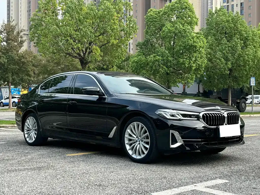 BMW 5 Series 2022 из CN, фото 3