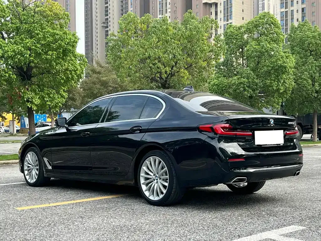 BMW 5 Series 2022 из CN, фото 4