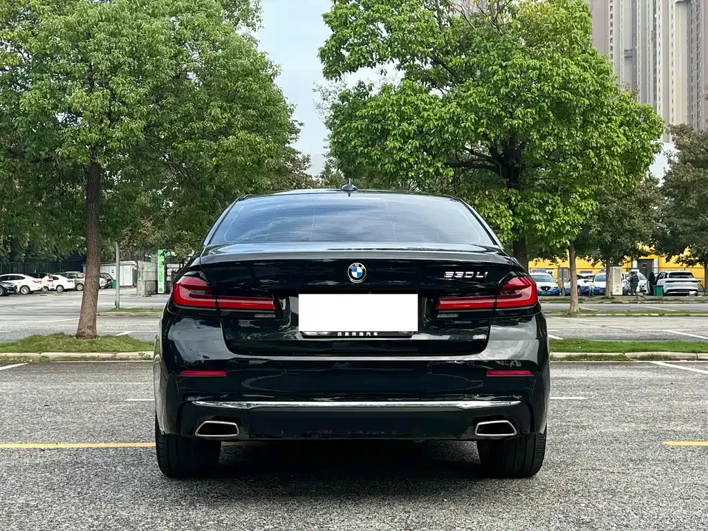 BMW 5 Series 2022 из CN, фото 5