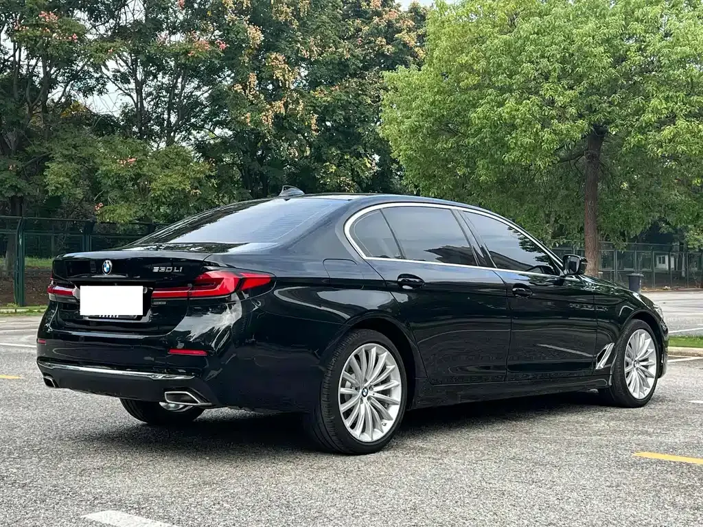 BMW 5 Series 2022 из CN, фото 6