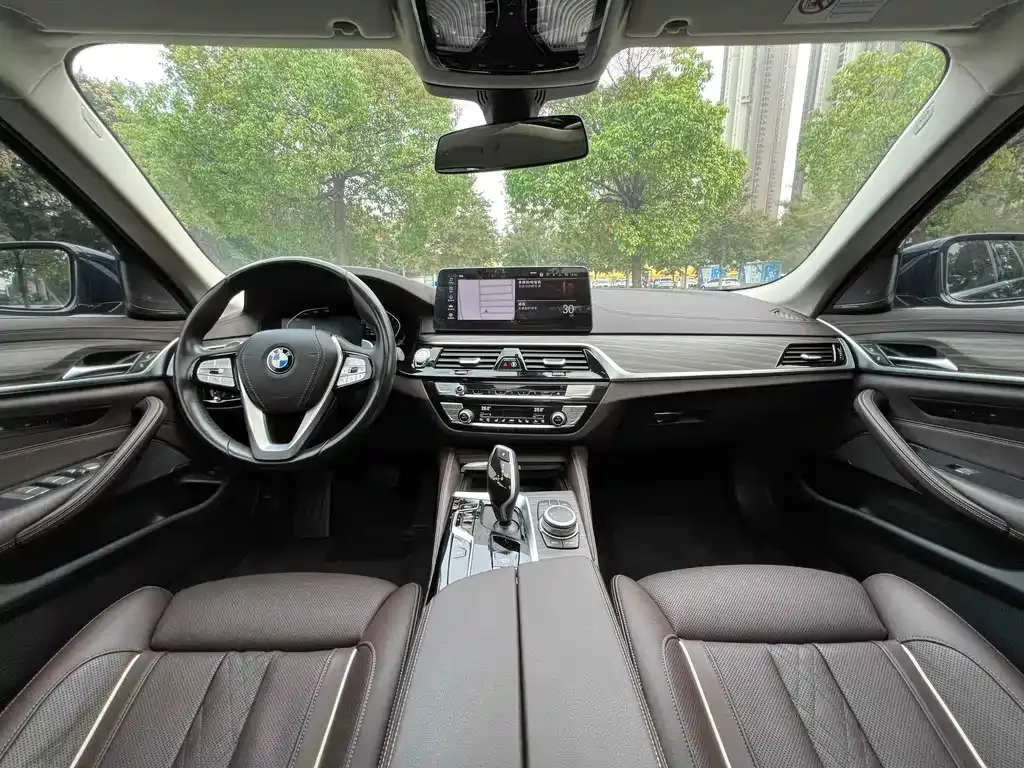 BMW 5 Series 2022 из CN, фото 9
