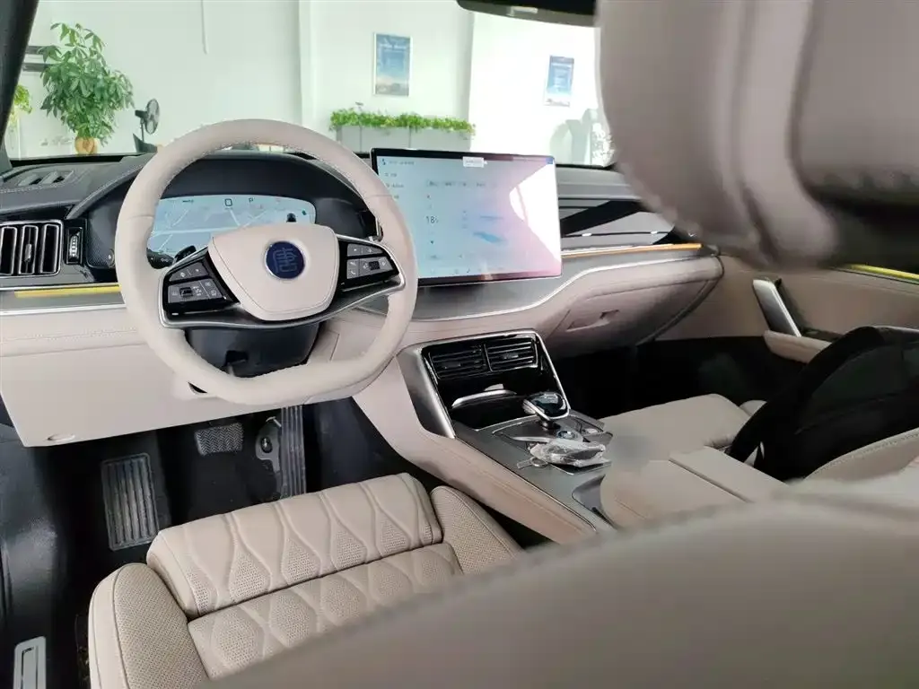 BYD Tang New Energy 2025 из CN, фото 10