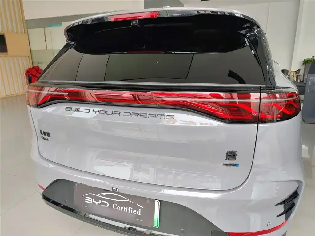 BYD Tang New Energy 2025 из CN, фото 6