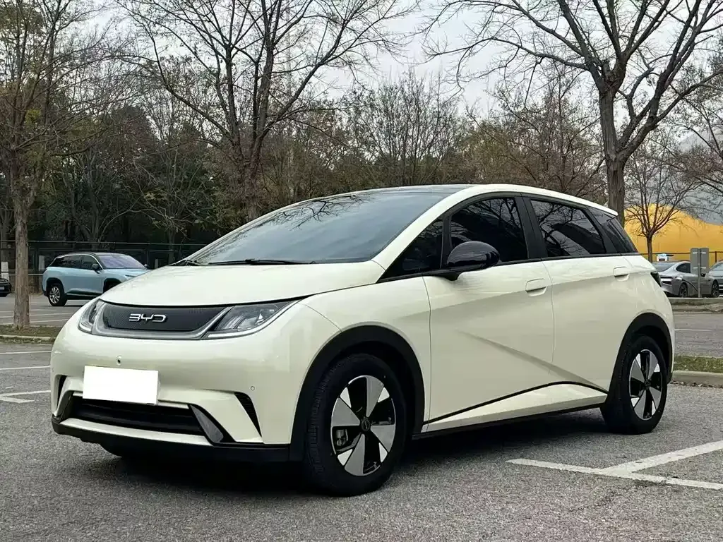 BYD Dolphin 2023 из CN, фото 1