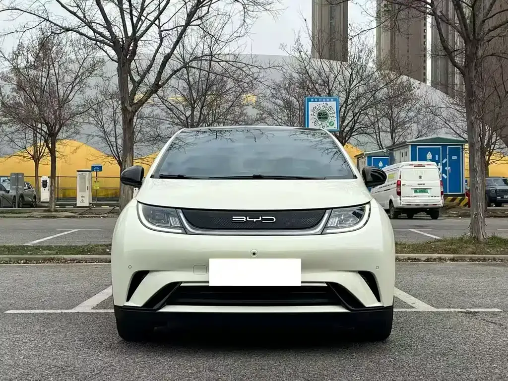 BYD Dolphin 2023 из CN, фото 2