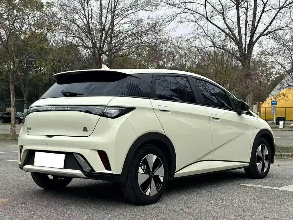 BYD Dolphin 2023 из CN, фото 7