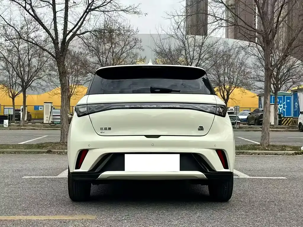 BYD Dolphin 2023 из CN, фото 8