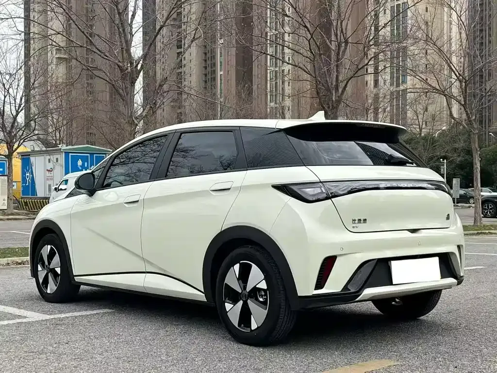 BYD Dolphin 2023 из CN, фото 9