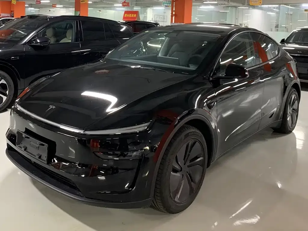 Tesla Model Y 2025 из CN, фото 1