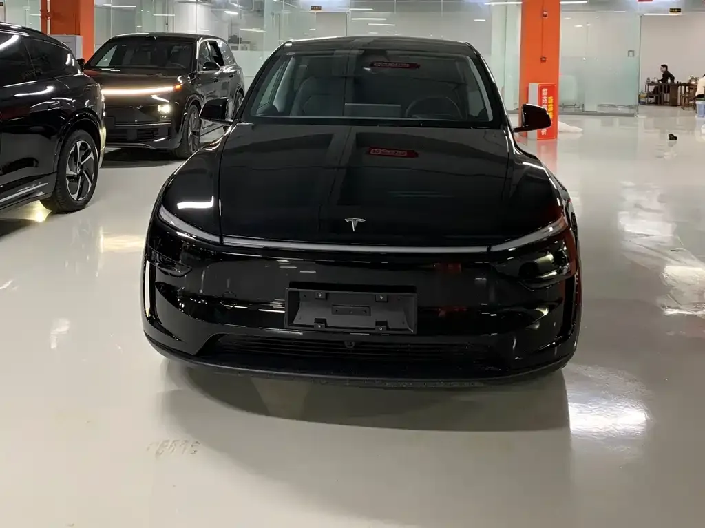 Tesla Model Y 2025 из CN, фото 2