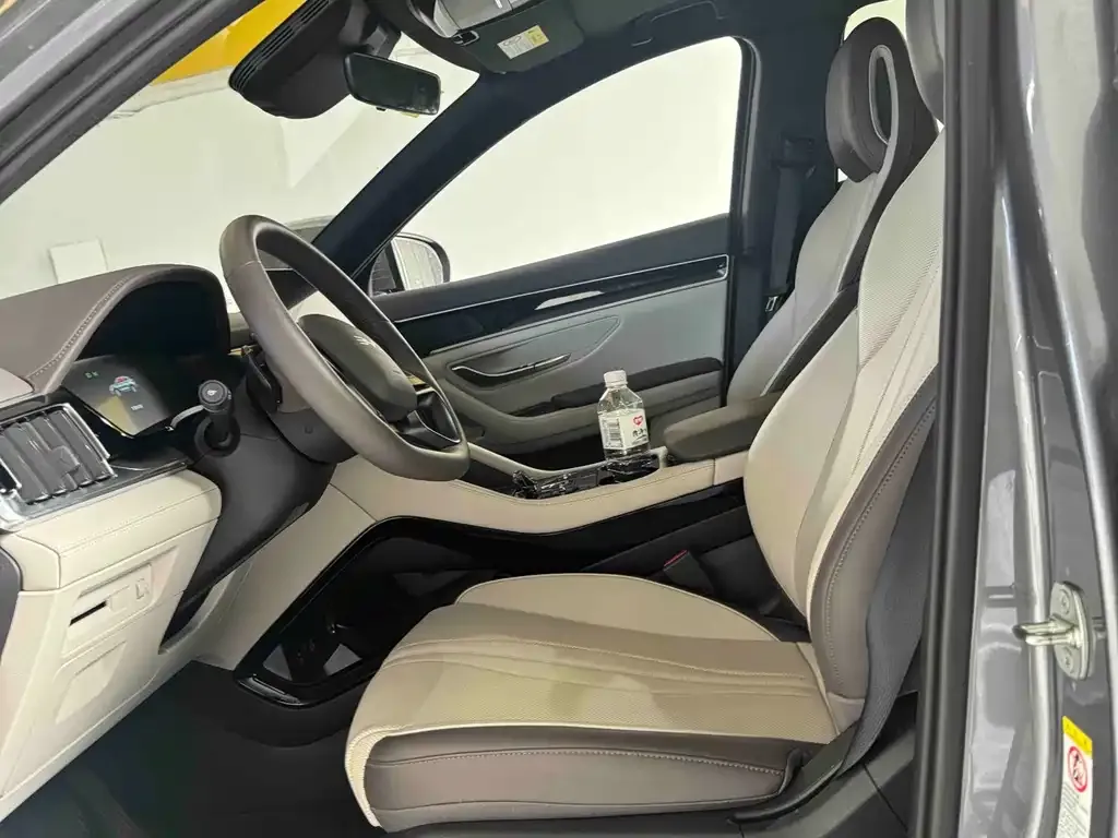 BYD PLUS New Energy 2025 из CN, фото 2
