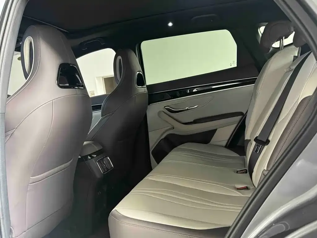 BYD PLUS New Energy 2025 из CN, фото 3