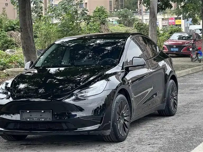 Tesla Model Y 2022 из CN, фото 1