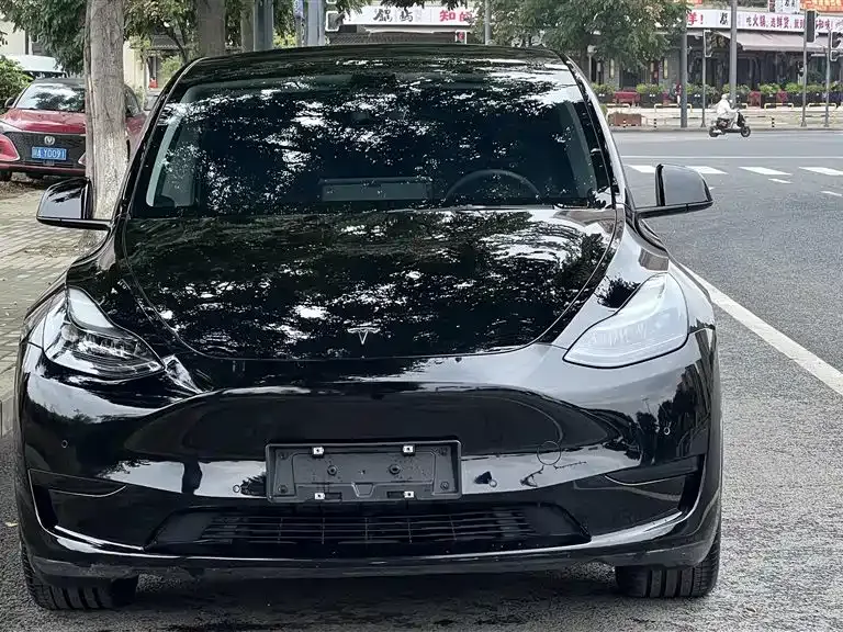 Tesla Model Y 2022 из CN, фото 2