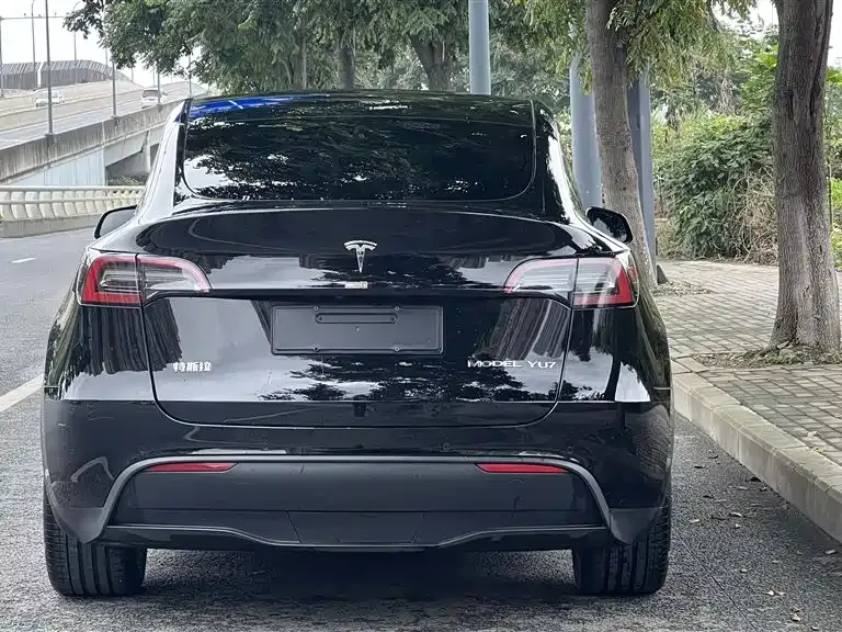 Tesla Model Y 2022 из CN, фото 5