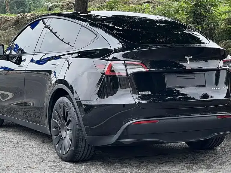Tesla Model Y 2022 из CN, фото 6