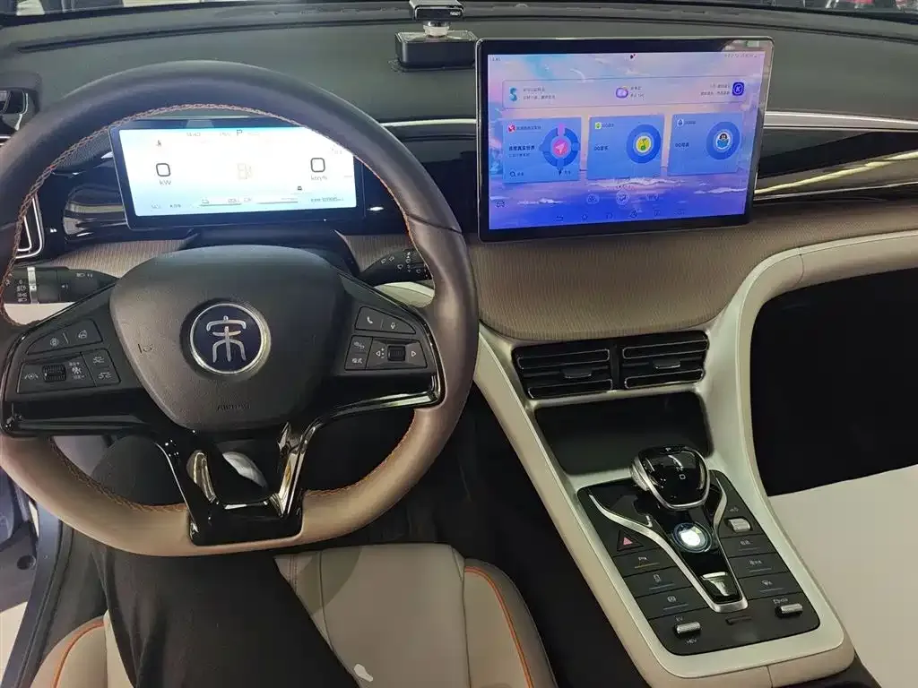 BYD Pro New Energy 2024 из CN, фото 10