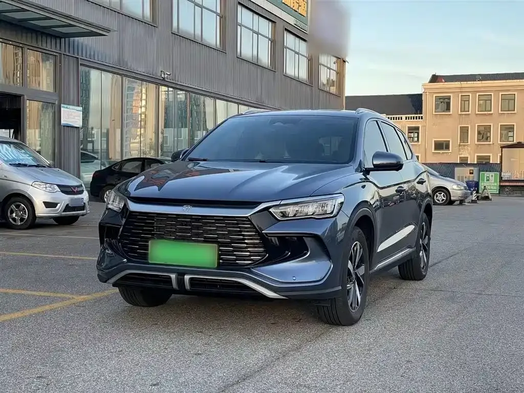 BYD Pro New Energy 2024 из CN, фото 2
