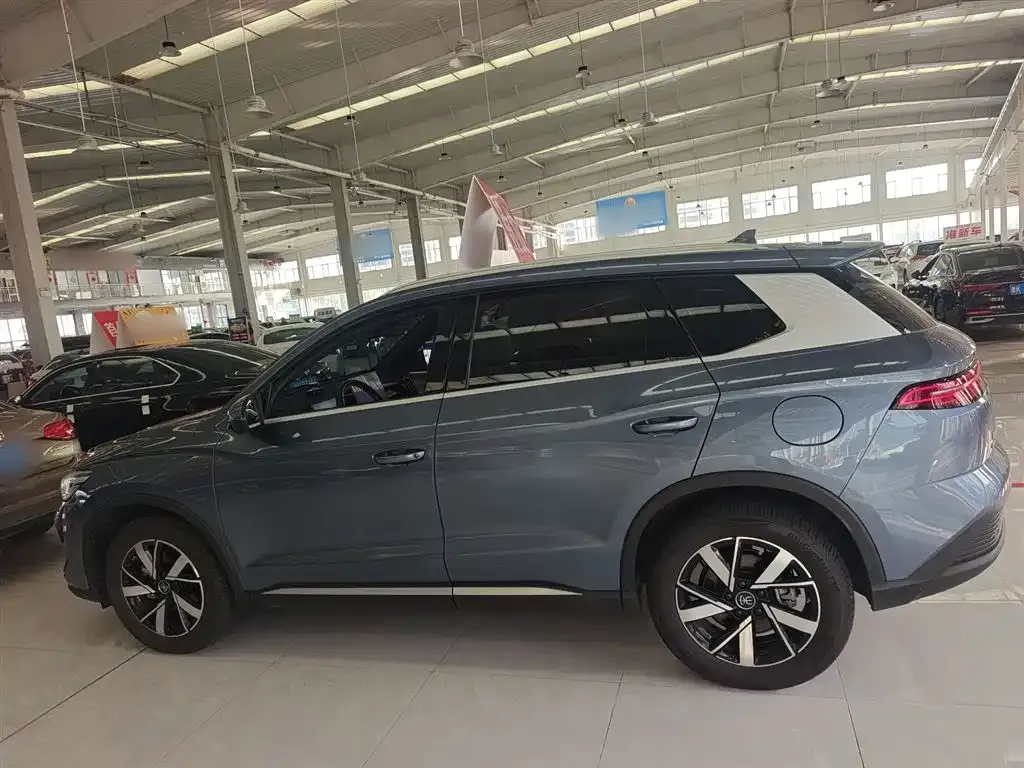 BYD Pro New Energy 2024 из CN, фото 5